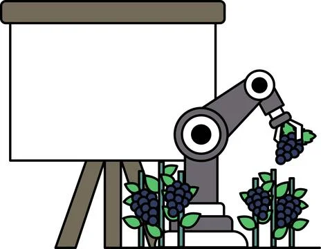 A robot is picking grapes from a vineyard Stock Illustration
