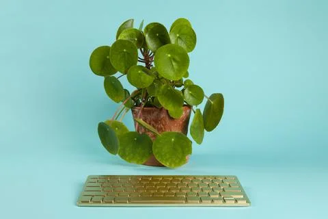 Robot plant Stock Photos