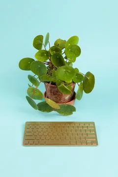 Robot plant Stock Photos