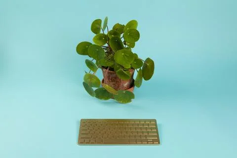 Robot plant Stock Photos