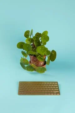 Robot plant Stock Photos