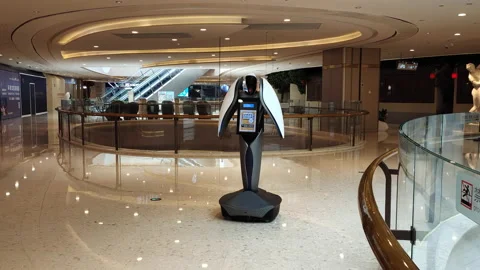 A robot providing information services  at a shopping mall in Shanghai Stock Footage 164316738