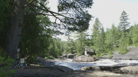 Robot Rover next to a river in a forest Stock Footage 64354132