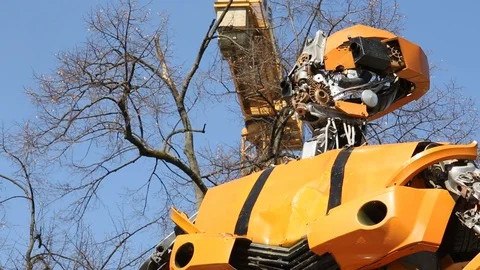 Robot Sculptures 2 動画素材 110784932