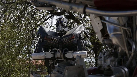 Robot Sculptures 8 動画素材 110787177