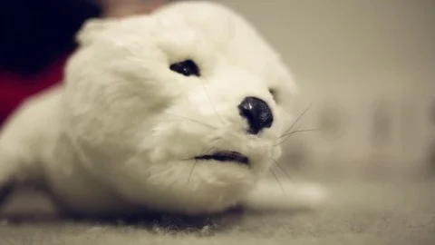 The robot seal soft toy with moving eyes and mouth close up shot. Stock Footage 71480249