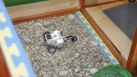 Robot searching for a way with an obstacles at a robot competitions. Stock Footage 85716443