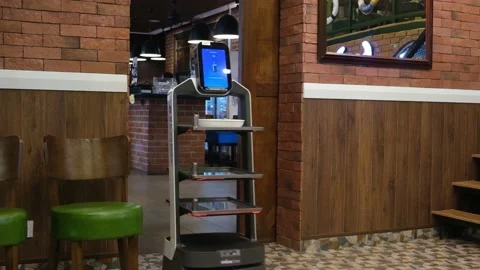 Robot serving food Stock Footage 169036649