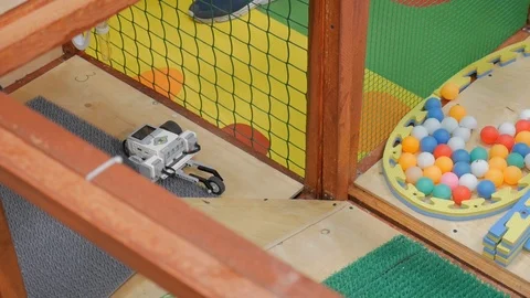 Robot show for children, robot solving maze, labirynth Stock Footage 85716598