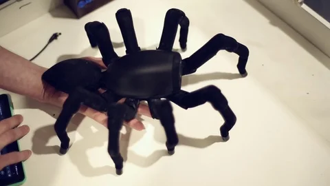 Robot spider wiggles tentacles, the man holds his hand Stock Footage 71480123
