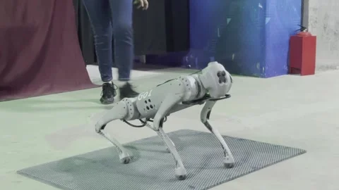 A robot is standing on a gray mat 스톡 동영상 283486305