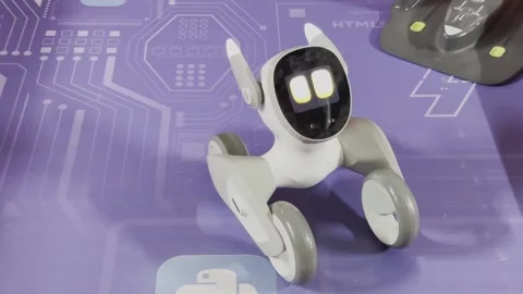 A robot is standing on a purple mat Vídeo Stock 283486341