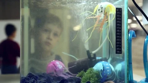 Robot swimming in the aquarium Stock Footage 71480495