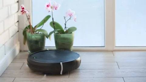 A robot vacuum cleaner crashes into a wall while cleaning. Programming failure Stock Footage 258205871