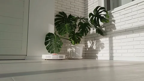 The robot vacuum cleaner drives on the laminate floor Stock Footage 147451872