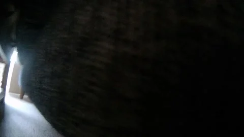 Robot vacuum cleaner Stock Footage 139338584