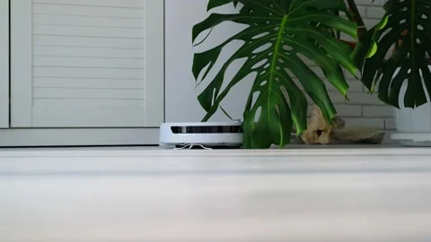 The robot vacuum cleaner rides on the laminate Stock Footage 211614863
