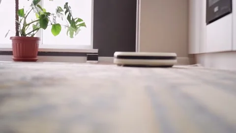 Robot vacuum cleaner working on carpet in modern apartment Video stock 303353864