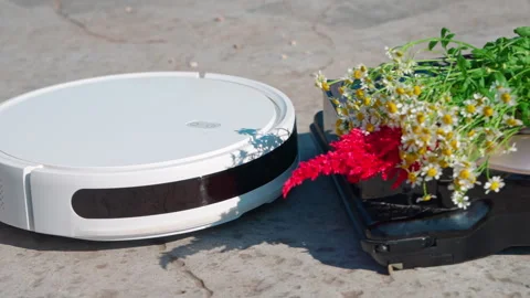 Robot vacuum pushes toward a flower decorated companion outdoors Stock-Footage 339455877