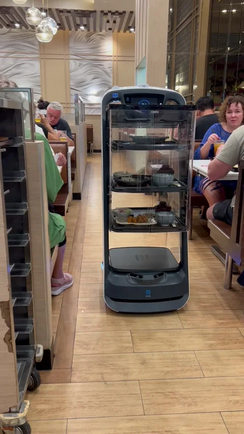 Robot waiter in a restaurant Stock Footage 237228146