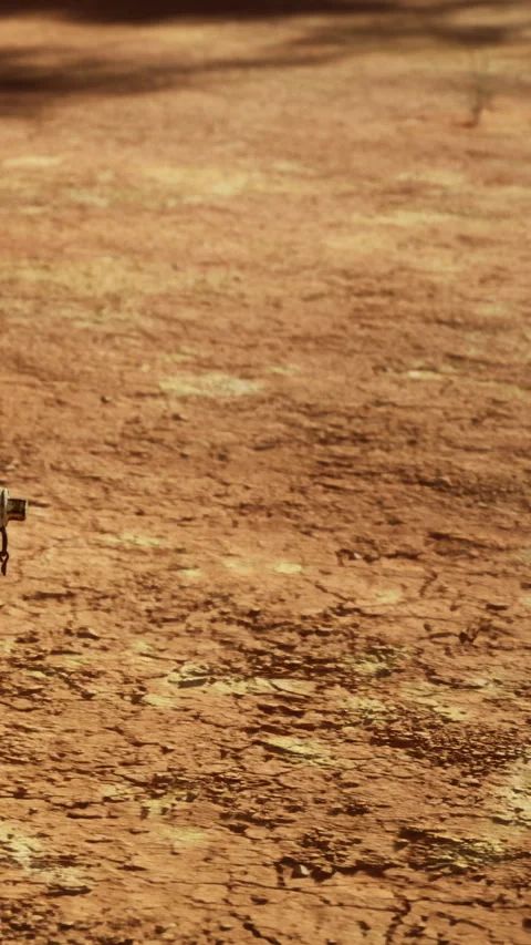 Robot walking on dry ground in a desert area during daylight hours Stock Footage 334265175