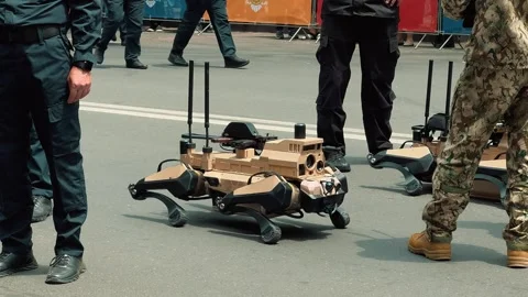 Robot wolf 1 Stock Footage 336291503