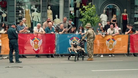 Robot wolf walks during a parade 1 (Editorial) Stock Footage 336291582