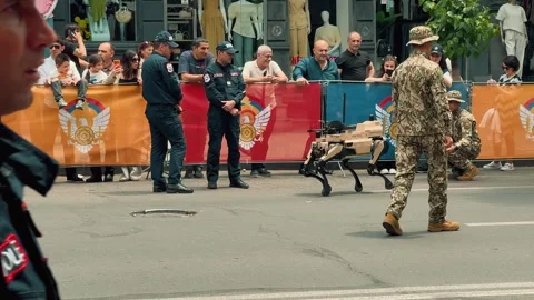 Robot wolf walks during a parade 2 (Editorial) Stock Footage 336291583
