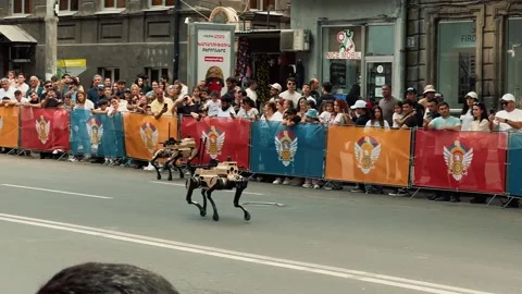 Robot wolf walks during a parade 14 (Editorial) Stock Footage 336291713