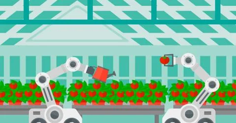 Robot working in a greenhouse. Stock Illustration