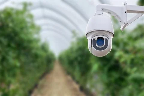 Robotic and CCTV Camera on Smart Green House . Stock Photos