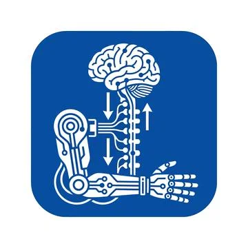 Robotic arm control through spinal cord and neural interface blue square icon Stock Illustration