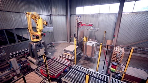 Robotic Arm Loading, packing products. Modern automated industrial equipment Video stock 65012931