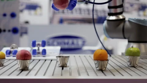 Robotic arm with soft silicon fingers takes peach from cup on conveyor belt Stock Footage 346611461