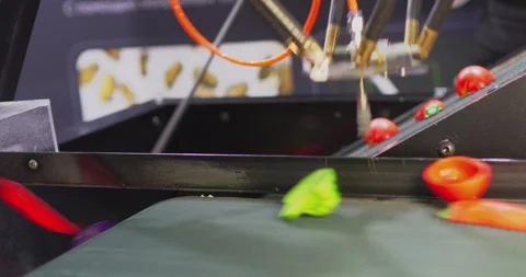 Robotic arm sorting vegetables on conveyor belt Stock Footage 316607612