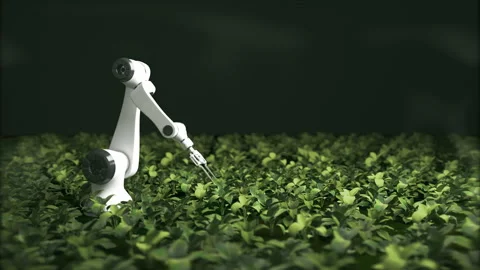 Robotic arms looking after fresh, young, green plants in a vast, modern, foggy g Video stock 235582798