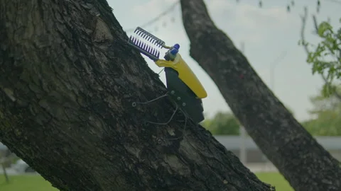 Robotic Beetle Climbing Tree Trunk Cinematic Tracking Shot Vídeos de archivo 332272834