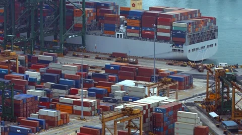 Robotic cranes unloading shipping containers from freighter at the port Vidéo 61052915
