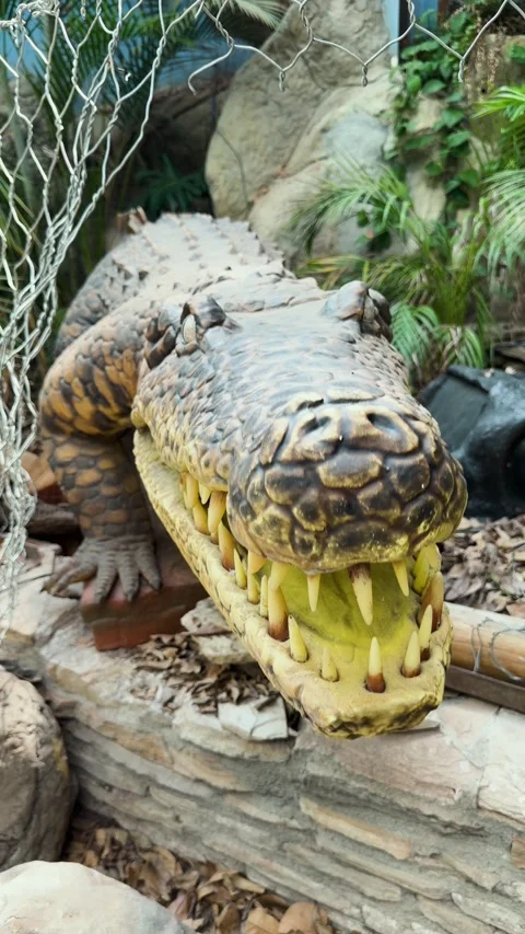 Robotic Crocodile Model Opens and Closes Jaws in Indoor Themed Exhibit Display Stock Footage 344042496