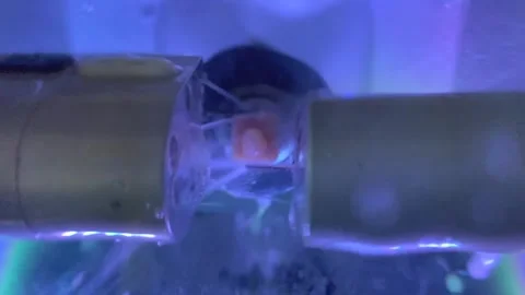 Robotic Dental Appliance Making  Video stock 245381357