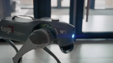 Robotic dog walking inside with advanced mechanisms Video stock 322946289