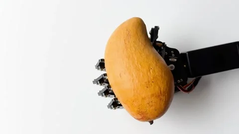 Robotic Hand Holding Mango Stock Footage 277307206