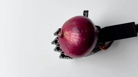 Robotic Hand Holding Red Onion Stock Footage 277307151