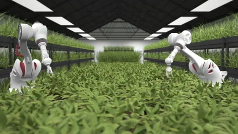Robotic hands take care of fresh, young, green plants in a huge, modern greenhou Stock Footage 187944206