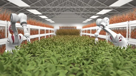 Robotic hands take care of fresh, young, green plants in a huge, modern greenhou Stock Footage 187947251