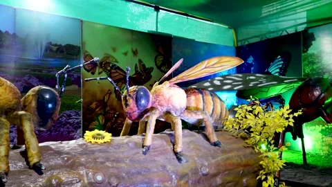 A Robotic Honey Bee seen with its Wings and Body in motion in Mysore. Stock Footage 282362385