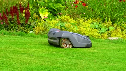 Robotic lawn mower cuts the grass in the garden Stock Footage 230171033