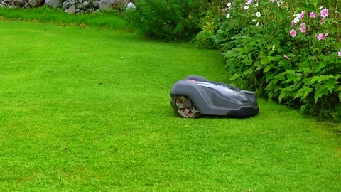 Robotic lawn mower cuts the grass in the garden Stock Footage 230171084