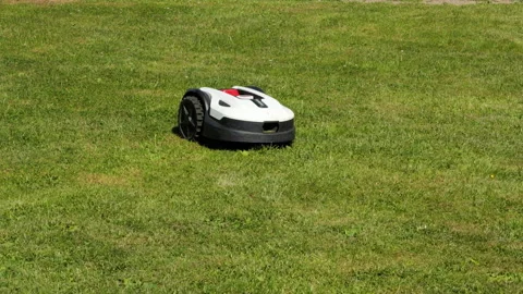 Robotic lawn mower cutting grass in a backyard Video stock 339558479