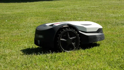 Robotic lawn mower cutting green grass Video stock 339558478